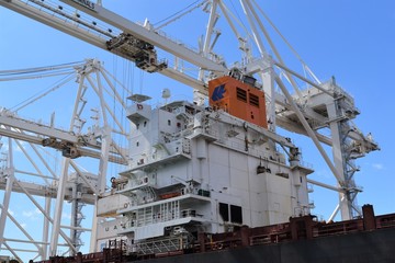 cranes in the port