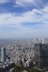 Fototapeta premium 都市風景(東京都)