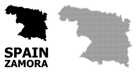 Vector Halftone Pattern and Solid Map of Zamora Province
