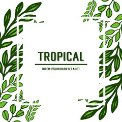 Card tropical for green leaves and floral frame. Vector