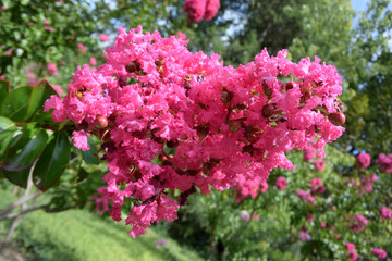 Beautiful places of the Nikitsky Botanical Garden