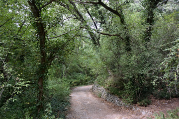 Beautiful places of the Nikitsky Botanical Garden