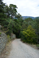 Beautiful places of the Nikitsky Botanical Garden