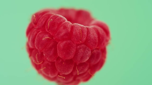 Close up view of a raspberry