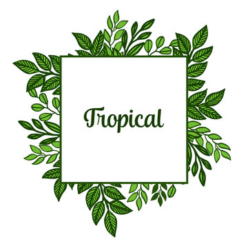 Shape card tropical, green leaves frame design. Vector