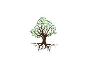 Green Of tree leaf logo ecology element nature vector