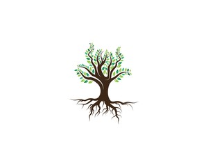 Green Of tree leaf logo ecology element nature vector