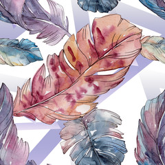 Colorful bird feather from wing isolated. Watercolor background illustration set. Seamless background pattern.