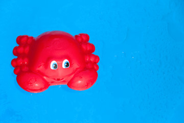 Red toy crab on blue surface background