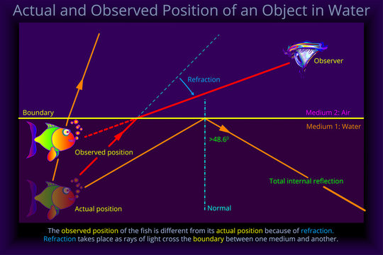 Actual and Observed Position of an Object in Water