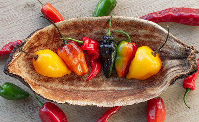 the chili peppers in a rustic bowl with a many colors