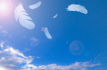 white feather floating in the sky.