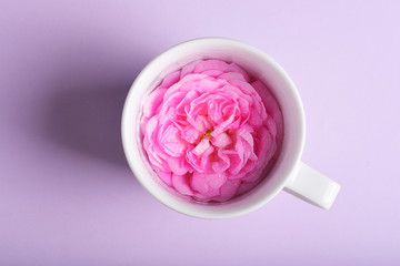 rose flowers in cup with plate