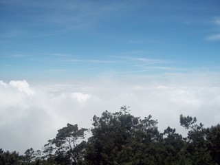 Fototapeta premium sky and clouds