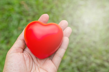 Fototapeta na wymiar Hand hold red heart with green