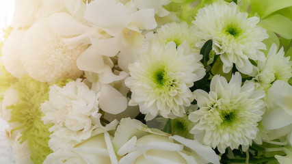 White nature flowers