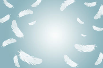 white feathers floating in the air.