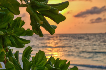 Dieses einzigartige Bild zeigt den gigantischen Sonnenuntergang auf den Malediven. eineinzig...