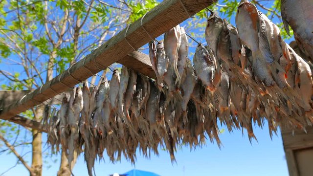 Sunny day in the fishing village. Fish is dried on the street near the house. Hot spring on the Volga River. Russia, Astrakhan region, near the town of Kamyzyak. 