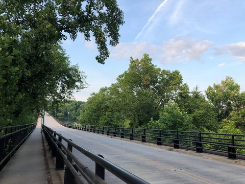 bridge in the forest