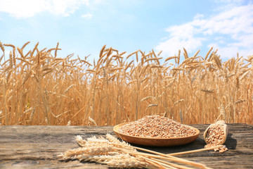 Plate and scoop with wheat grains on wooden table in field