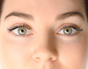 Beautiful young woman with eyelash extensions, closeup
