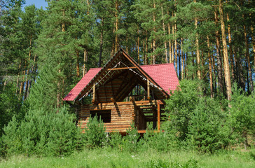 unfinished house in the summer forest