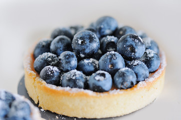 Delicious dessert blueberry mini tart with fresh berries and whipped cream. French cuisine. Berry pie with cream and icing sugar. Closeup. Shallow DOF