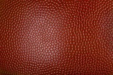 Basket Ball Texture