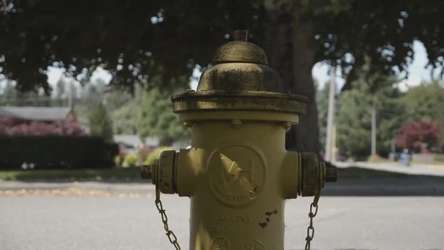 American yellow fire hydrant on a street with passing cars