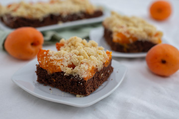 home made chocolate apricot cake with sweet streusel