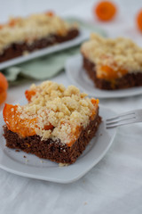 Fototapeta na wymiar home made chocolate apricot cake with sweet streusel