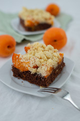 home made chocolate apricot cake with sweet streusel