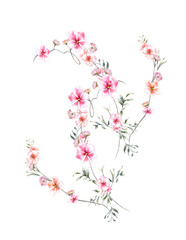 watercolor painting of leaves and flower, on white background