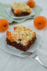 home made chocolate apricot cake with sweet streusel