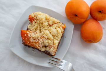 home made chocolate apricot cake with sweet streusel