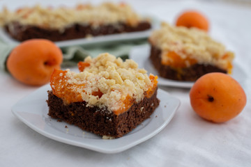 home made chocolate apricot cake with sweet streusel