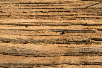 Aged wood surface texture
