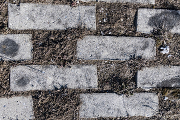 Concrete paving stone texture