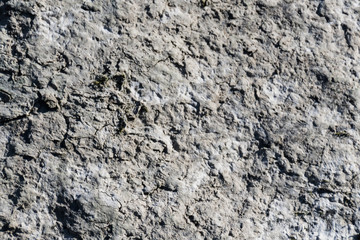 Stone surface texture with moss