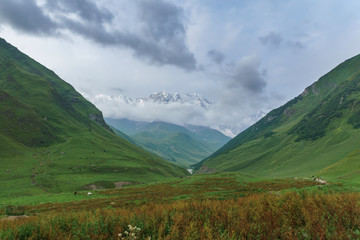 View of a mountain valley with horses grazing in the distance, Georgia, Svaneti