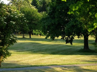park
