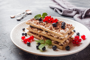 Cottage cheese dessert of crispy dietary bread, curd and blueberries with red currants. Selective focus.