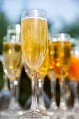 Champagne Glasses and Drinks on the Table
