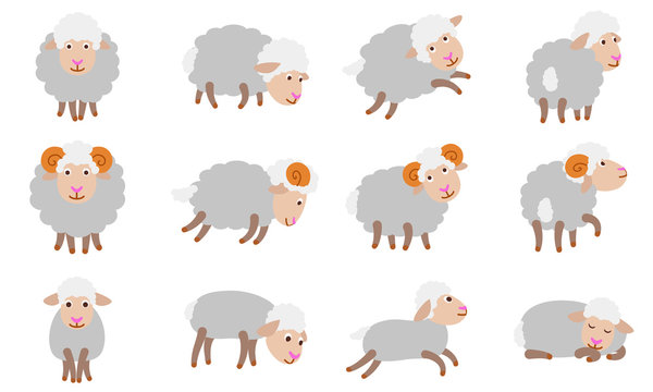 Sheep icons set. Flat set of sheep vector icons for web design