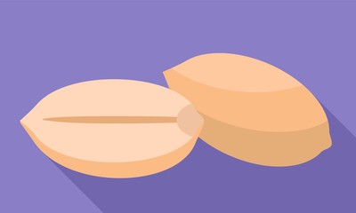 Clean peanuts icon. Flat illustration of clean peanuts vector icon for web design