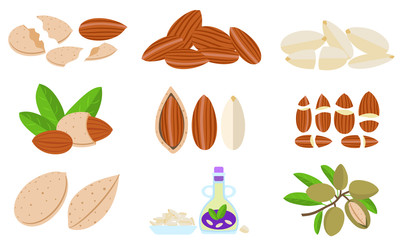 Almond icons set. Flat set of almond vector icons for web design