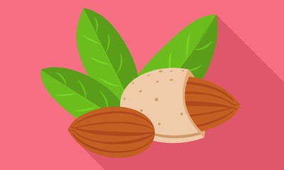Fototapeta na wymiar Almond icon. Flat illustration of almond vector icon for web design