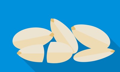 Clean white almond icon. Flat illustration of clean white almond vector icon for web design