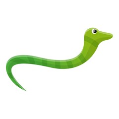 Green snake icon. Cartoon of green snake vector icon for web design isolated on white background